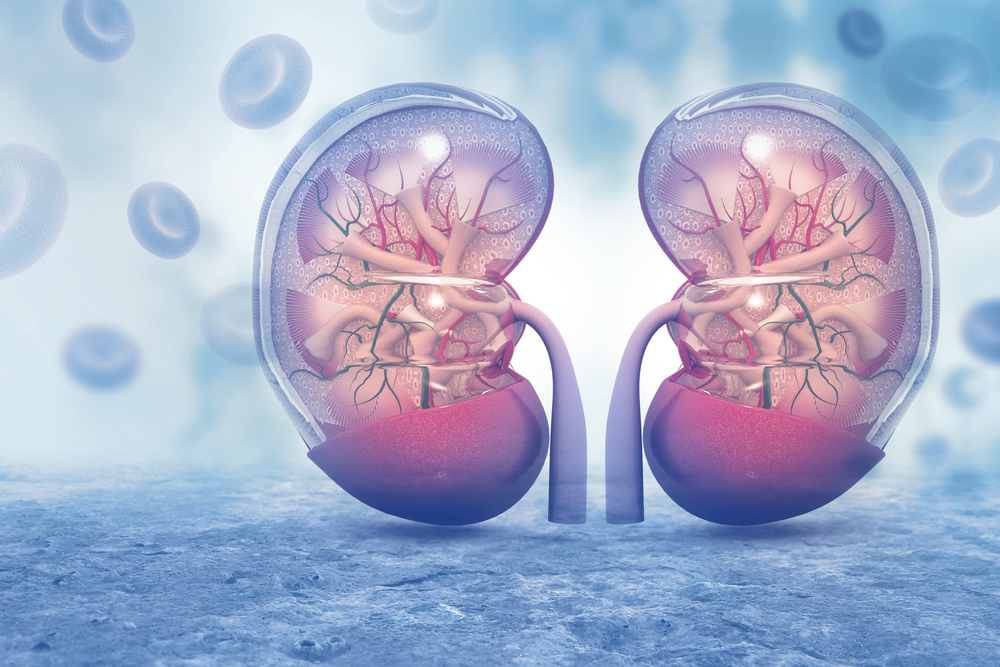 Guidelines Align on Diabetes and CKD Management, Tackle Implementation Challenges