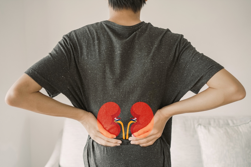 Study Shows Combining SGLT2 Inhibitors and MRAs Extends Kidney Health in Diabetic Patients
